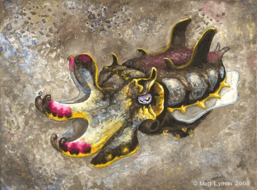504x374 Flamboyant Cuttlefish By Meglyman - Cuttlefish Painting