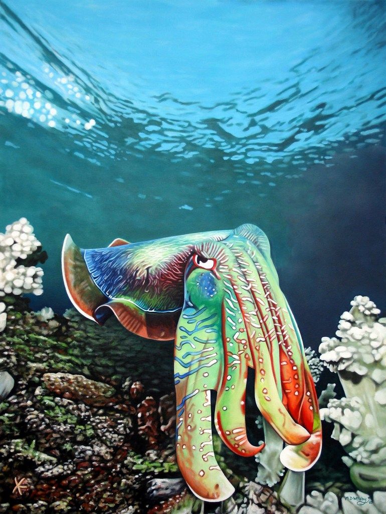 770x1024 Painting Art Logic - Cuttlefish Painting