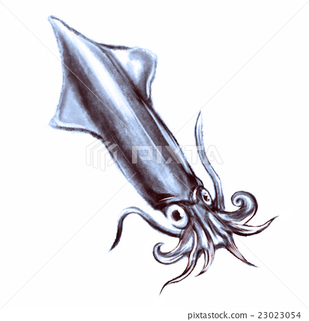 450x468 Cuttlefish, Squid, Ink Brush Painting - Cuttlefish Painting