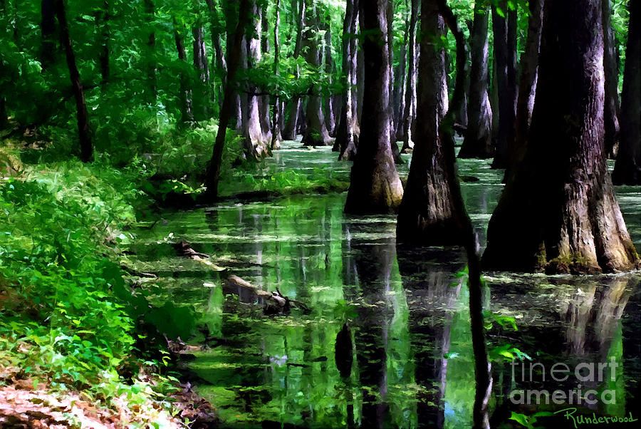 900x602 Cypress Bayou Canvas Print Canvas Art By Rodger Underwood - Cypress Bayou Painting