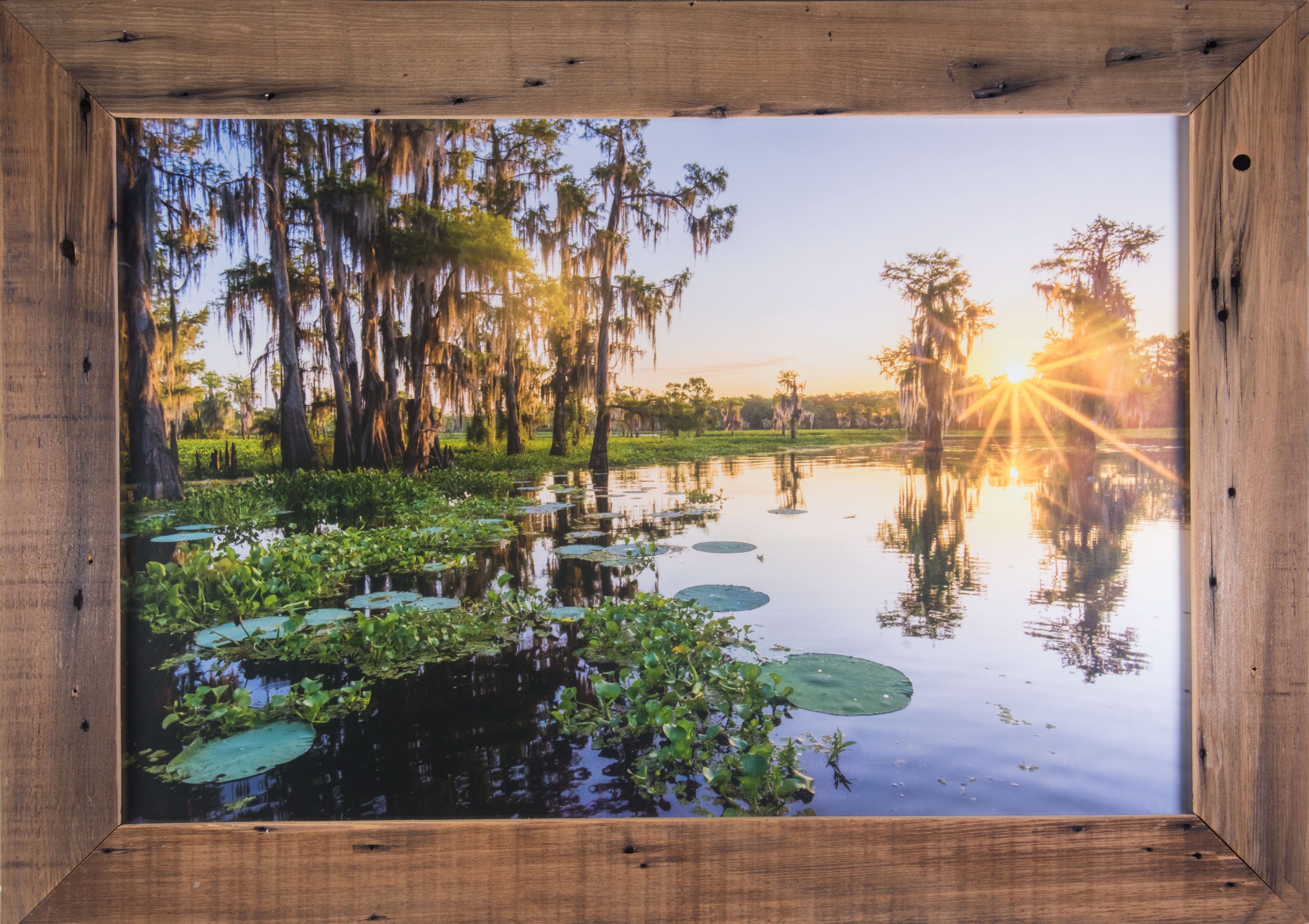 4732x3341 Atchafalaya Basin Sunrise In Cypress Frame - Cypress Bayou Painting