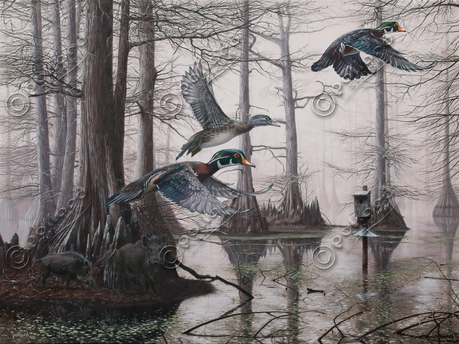 1500x1125 Pollard Studio New Art! Cypress Bayou Neighbors - Cypress Bayou Painting