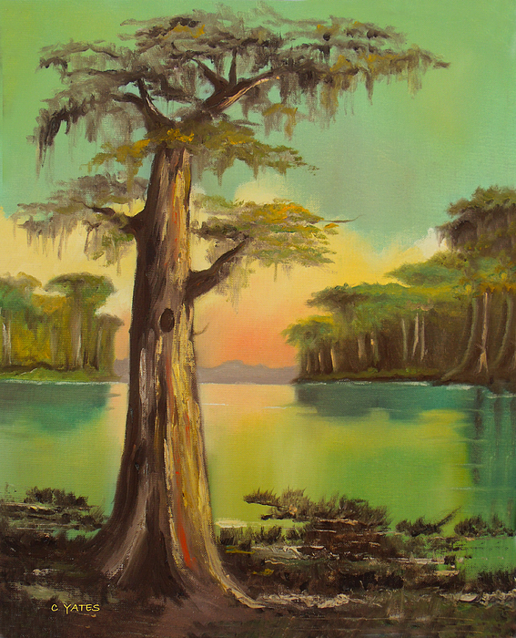 Cypress Painting At PaintingValley.com | Explore Collection Of Cypress ...