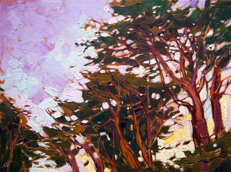 800x597 Cypress Trees - Cypress Tree Painting