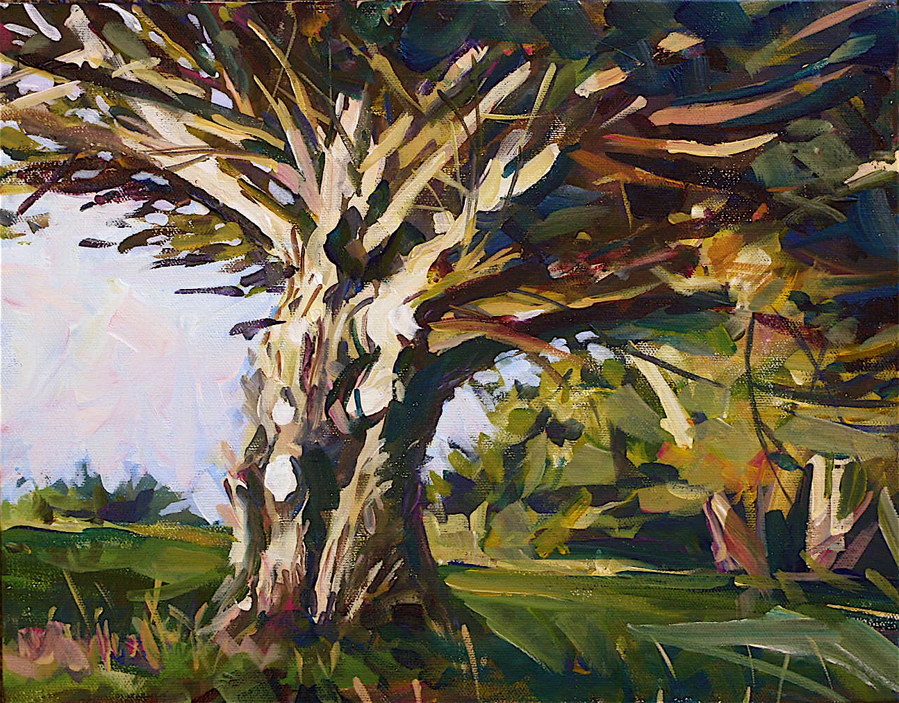 1294x1012 David Lobenberg Pacific Coast Cypress Tree In Acrylic - Cypress Tree Painting