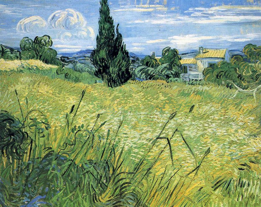 900x713 Green Wheat Field With Cypress Tree, 1889 By Vincent Van Gogh - Cypress Tree Painting