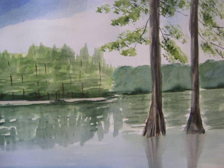 770x578 Saatchi Art Santee Cypress Trees Painting By Anna Williams - Cypress Tree Painting