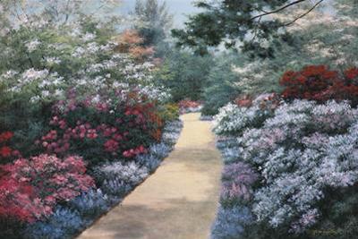 400x267 Diane Romanello Limited Edition Giclee On Canvas Spring Path - D Romanello Painting