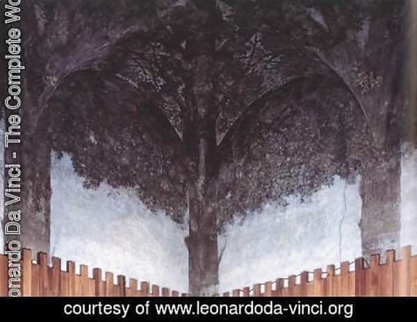 600x463 Leonardo Da Vinci - Da Vinci Ceiling Painting