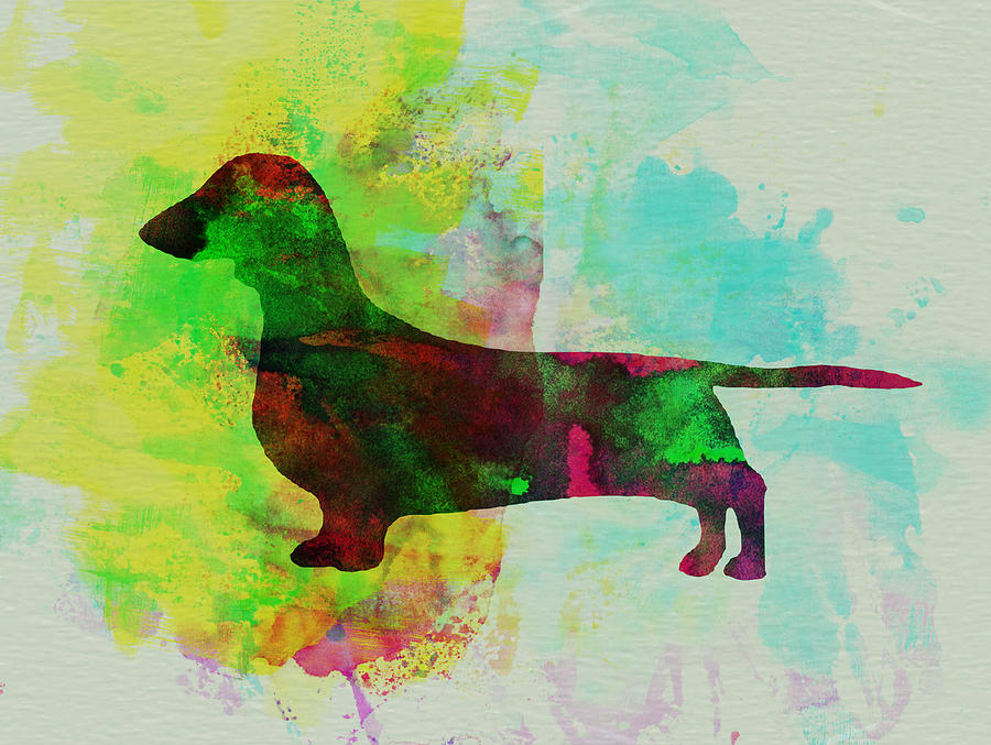 900x677 Dachshund Watercolor Painting By Naxart Studio - Dachshund Painting