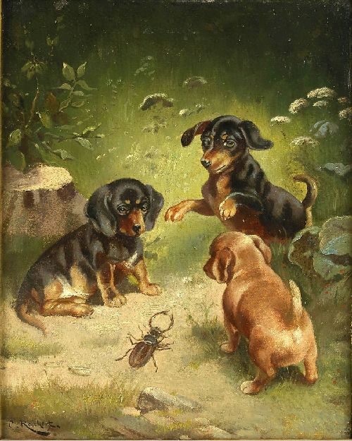 500x625 Dachshund Puppies - Dachshund Painting