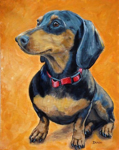 383x480 Dog Paintings (And Cat And Other Animals) By Dottie Dracos - Dachshund Painting