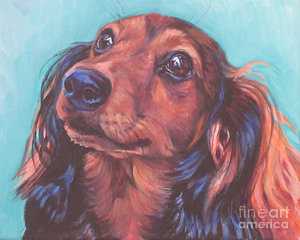 300x240 Long Haired Dachshund Paintings Fine Art America - Dachshund Painting