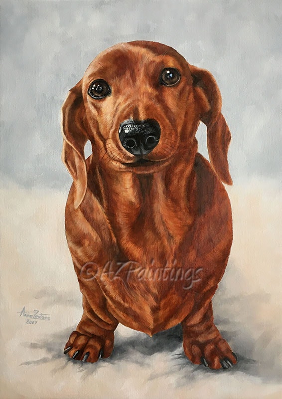 566x800 Oil Painting Of A Miniature Dachshund And A Work In Progress By - Dachshund Painting