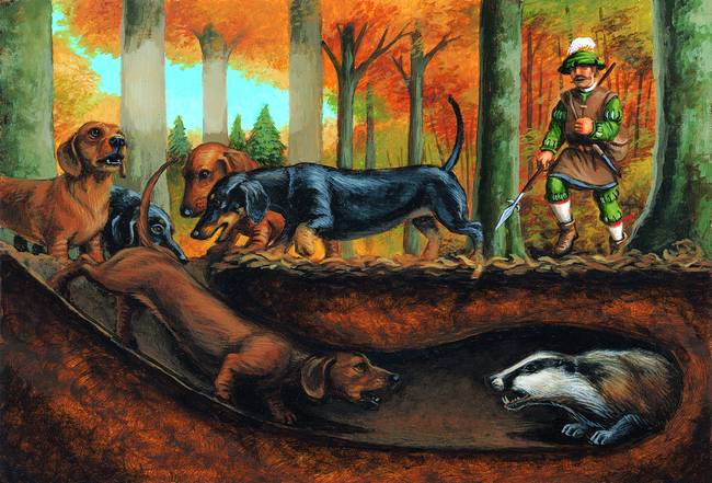 650x441 Stunning Dachshund Artwork For Sale On Fine Art Prints - Dachshund Painting