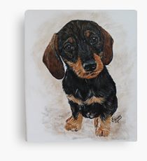 210x230 Dachshund Painting Amp Mixed Media Canvas Prints Redbubble - Dachshund Painting