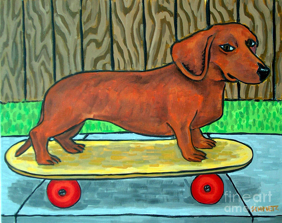 900x712 Dachshund Skateboarding Painting By Jay Schmetz - Dachshund Painting