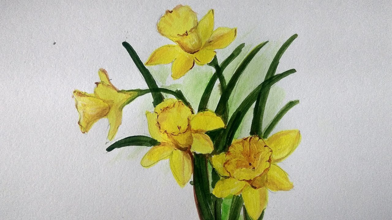 1280x720 How To Draw And Paint Daffodil Flower Step By Step For Beginners - Daffodil Flower Painting
