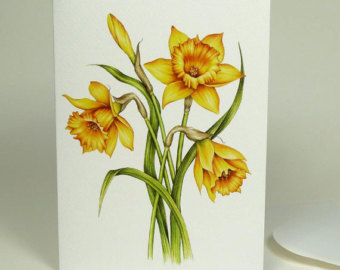 340x270 Orange Nasturtium Painting Botanical Watercolour Large - Daffodil Flower Painting