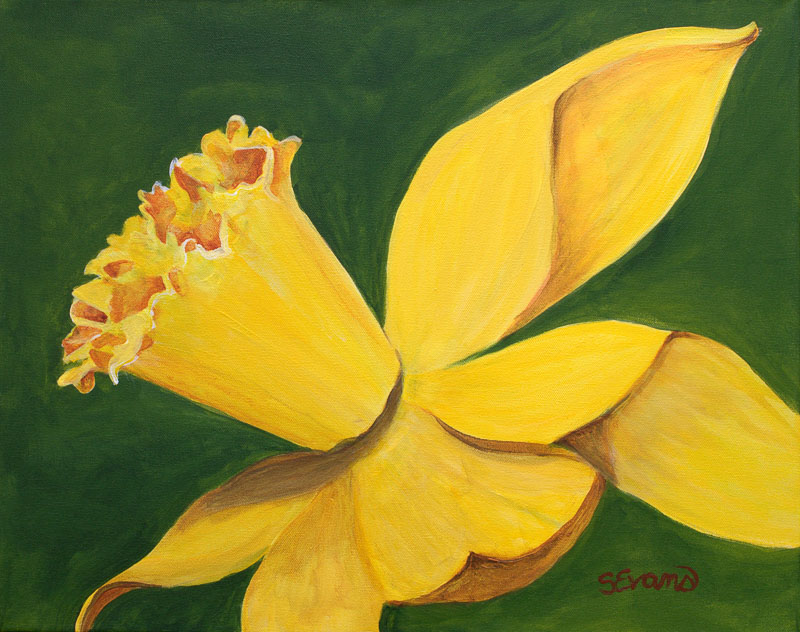 800x632 Yellow Daffodil Original Painting - Daffodil Flower Painting