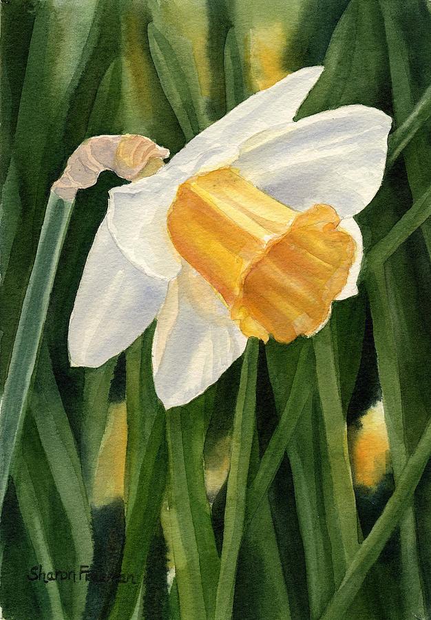 626x900 Single Yellow Daffodil Painting By Sharon Freeman - Daffodil Painting