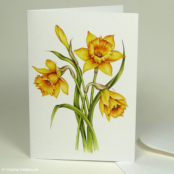 570x570 Daffodil Painting Large Luxury Greeting Card - Daffodil Painting