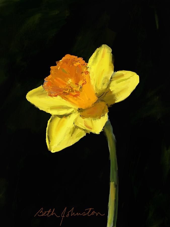 675x900 Daffodil Beth Johnston.jpg Flower - Daffodil Painting