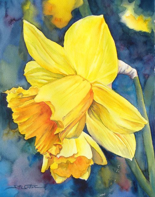 509x648 Sue Lynn Cotton Daffodil Aplicaciones Daffodils - Daffodil Painting
