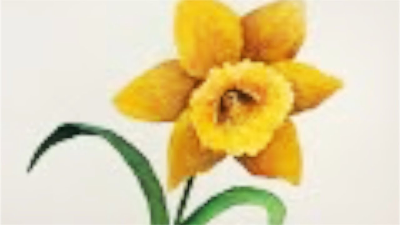 1280x720 Daffodil Watercolor Tutorial, Step By Step Lesson For Beginners - Daffodil Painting