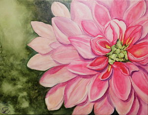 300x232 Dahlia Flower Paintings - Dahlia Flower Painting