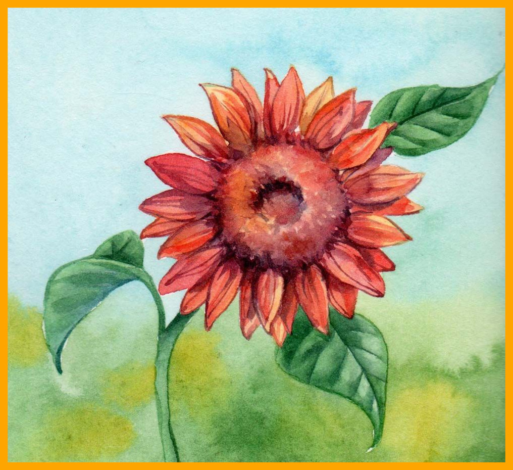 1016x930 Fascinating Sunflower Watercolor Pics For Dahlia Flower Painting - Dahlia Flower Painting