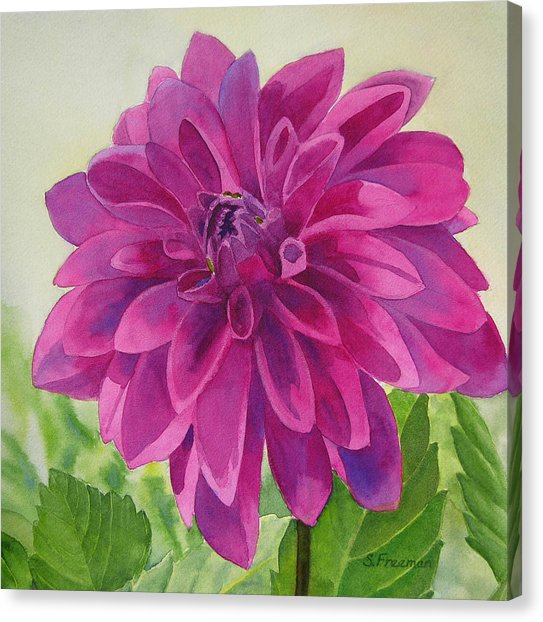 543x622 Magenta Dahlia Painting By Sharon Freeman - Dahlia Flower Painting