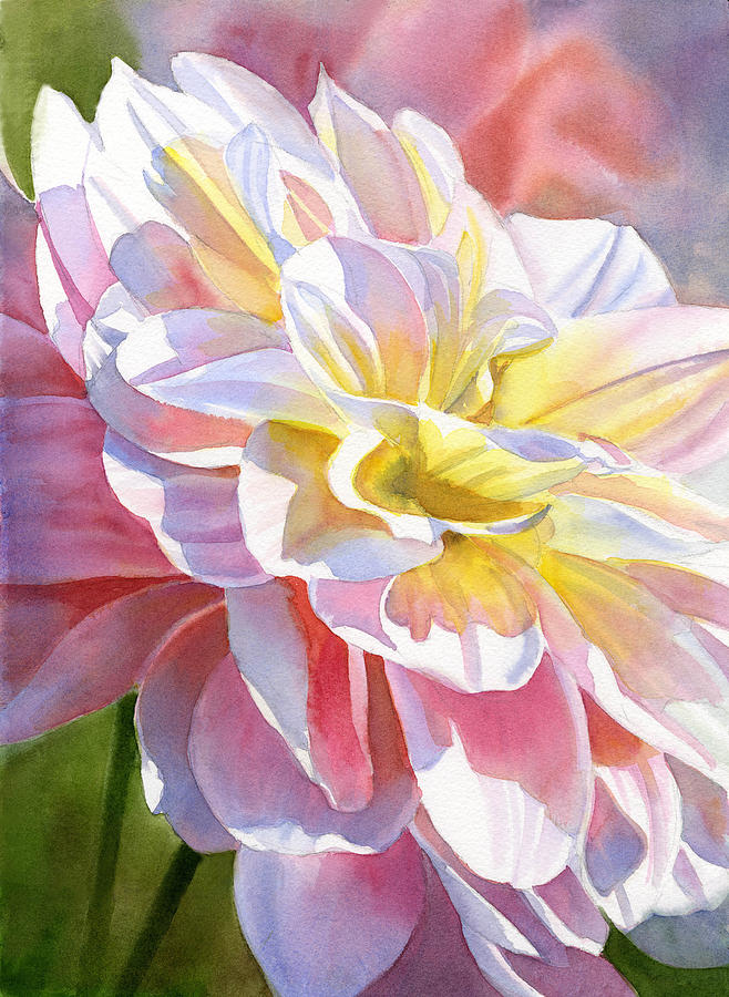 658x900 Peach And Yellow Dahlia Painting By Sharon Freeman - Dahlia Flower Painting