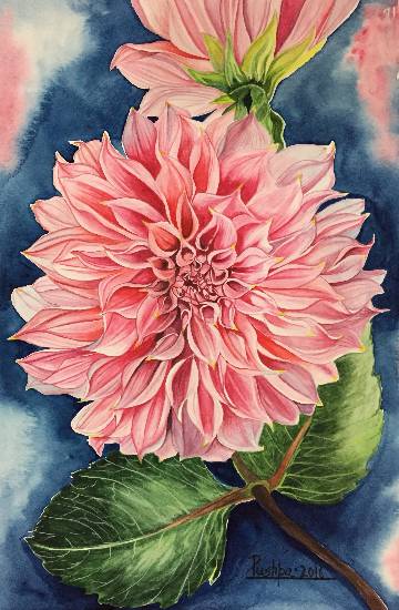 360x550 Pink Dahlia Flower - Dahlia Flower Painting