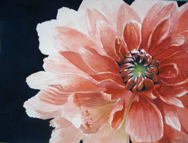 610x465 Dahlia A Painting A Week - Dahlia Flower Painting
