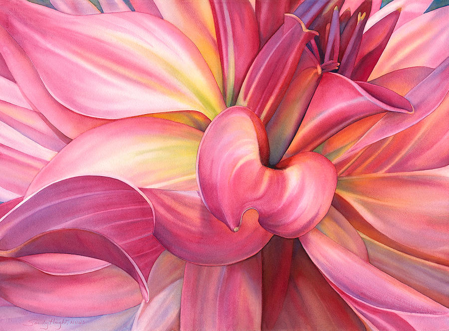 900x664 Dahlia Darling Painting By Sandy Haight - Dahlia Flower Painting
