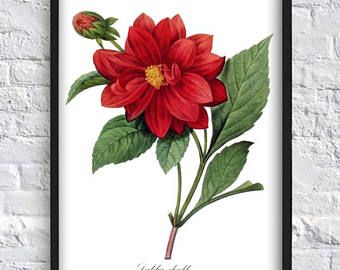 340x270 Dahlia Painting Etsy - Dahlia Painting