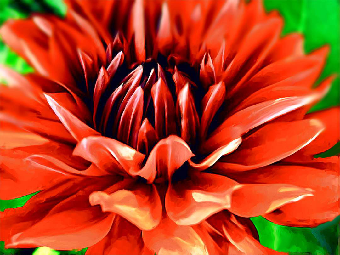 1080x810 It`s A Dahlia - Dahlia Painting