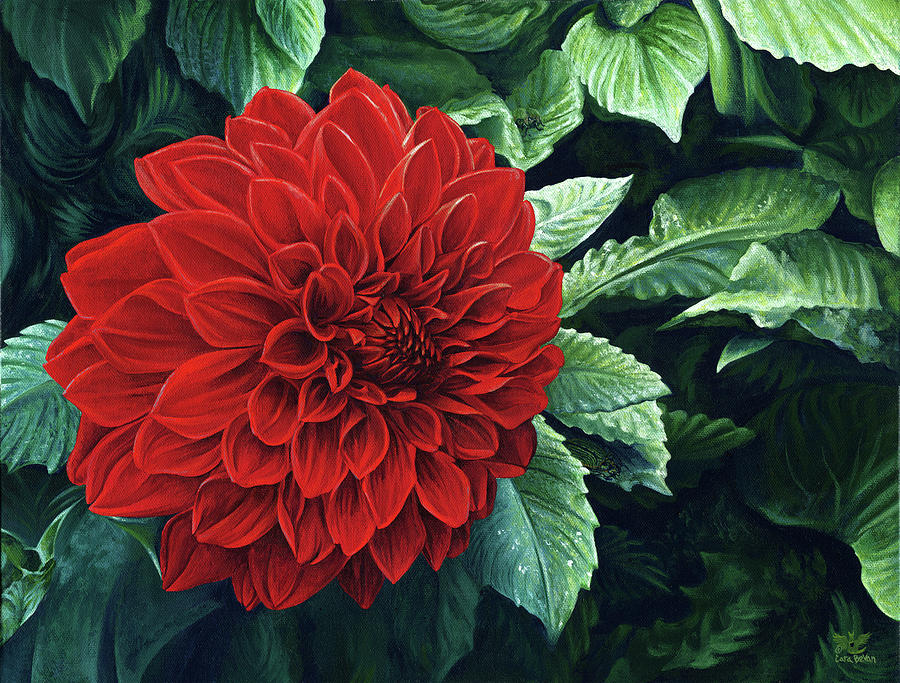 900x683 Dahlia Dawn Painting By Cara Bevan - Dahlia Painting