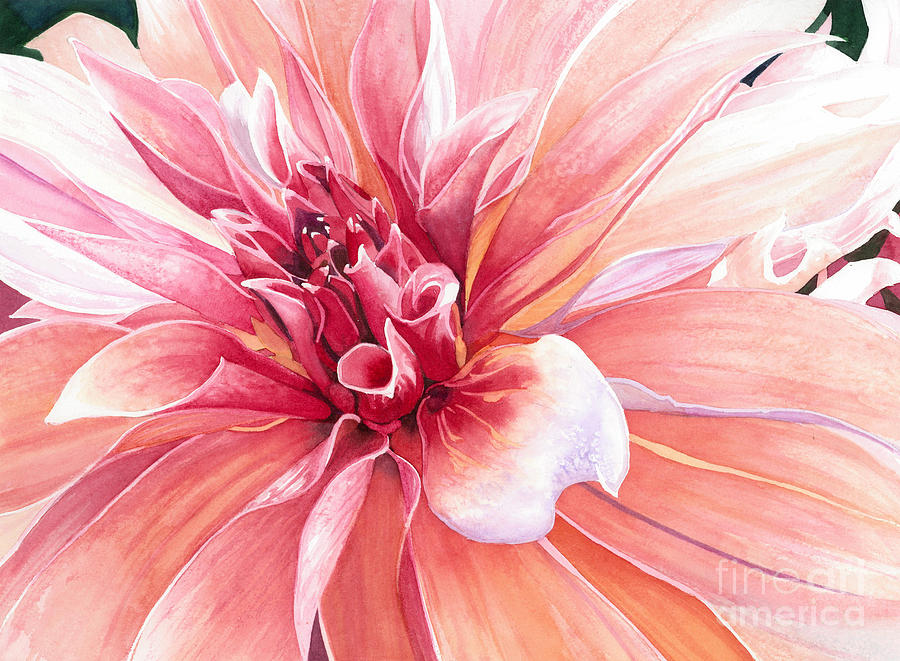 900x661 Dahlia Dazzler Painting By Barbara Jewell - Dahlia Painting