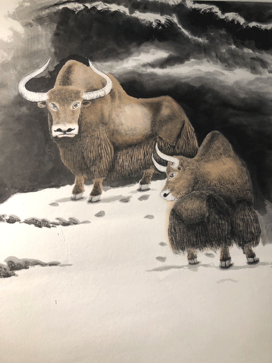900x1200 Yak Ink Paintings Go On Display In Tibet - Daily Paintingworks
