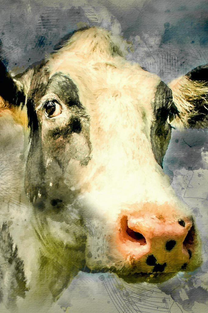 682x1024 Dairy Cow Water Colour Cotswold Grey Ltd - Dairy Cow Painting