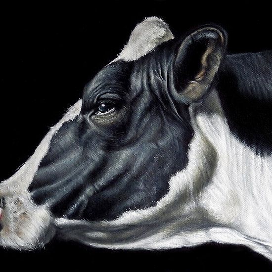 550x550 Holstein Friesian Dairy Cow Portrait Work Friesian - Dairy Cow Painting