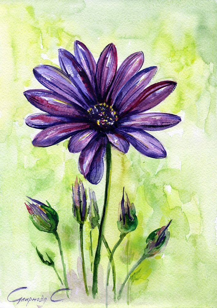 707x1000 Purple Daisy, Daisies, Flowers, Watercolor Original Painting - Daisy Flower Painting