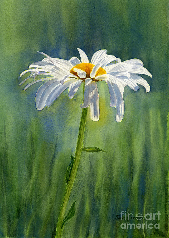 641x900 Shasta Daisy Flower With Blue Green Background Painting By Sharon - Daisy Flower Painting