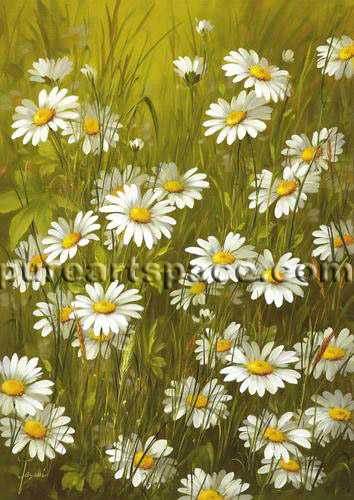 354x500 China Oil Painting Manufacturer Wholesale All Kinds Top Quality - Daisy Flower Painting