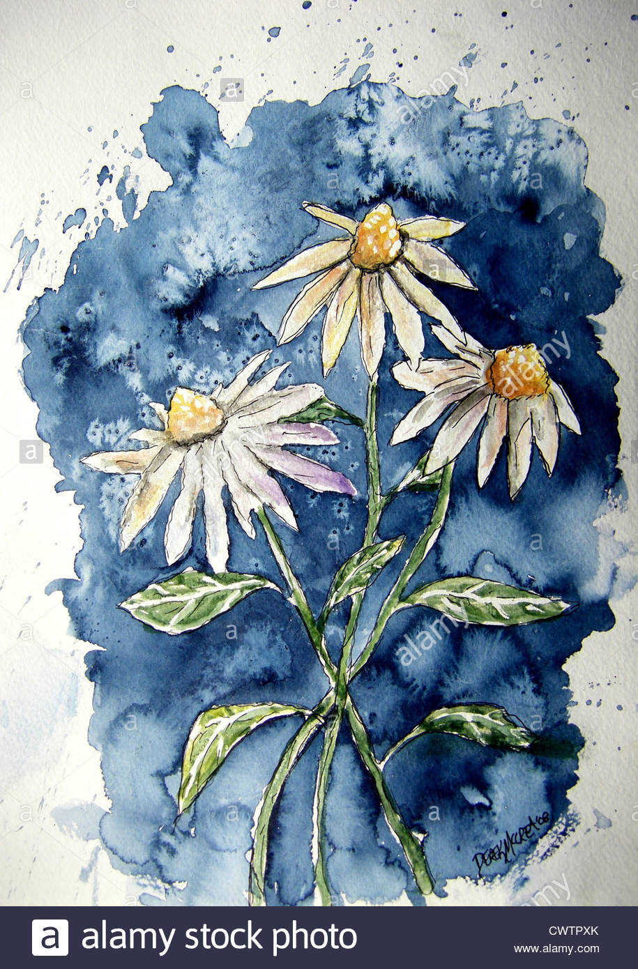 915x1390 Daisies Daisy Flower Watercolor Painting Stock Photo 50331979 - Daisy Flower Painting
