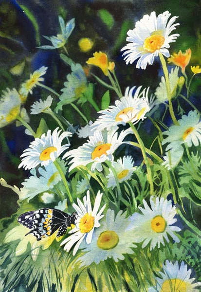413x600 Butterfly Art Flower Daisy Daisies Print Or Giclee Floral Art - Daisy Flower Painting
