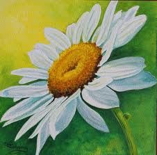 226x223 Watercolors Of Flowers - Daisy Flower Painting