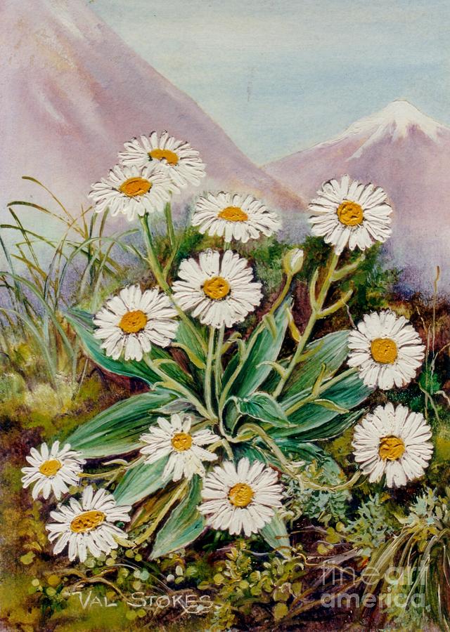 640x900 Nz Mountain Daisy Painting By Val Stokes - Daisy Mountain Painting